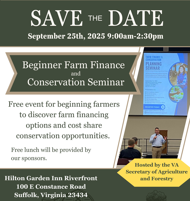 FF Suffolk Miniatura